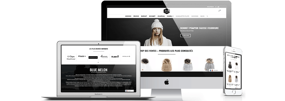 Conception du site e-commerce blue melon